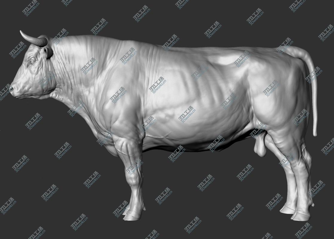 images/goods_img/202104094/Bull v2 3D model/5.jpg